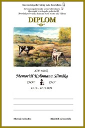Výtvarný a grafický návrh - Diplom, MKS 2021